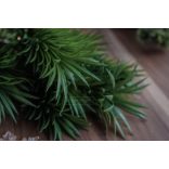 Buzogány Zöld - SZÁLAS