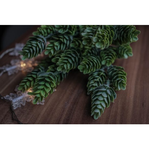 Hamvas Komló - SZÁLAS