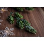 Hamvas Komló - SZÁLAS