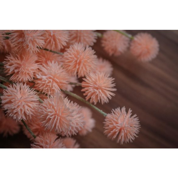 Hamvas Szamárkenyér Barack - Szálas