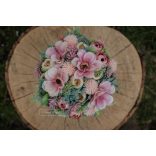 Hamvas Szamárkenyér Barack - Szálas