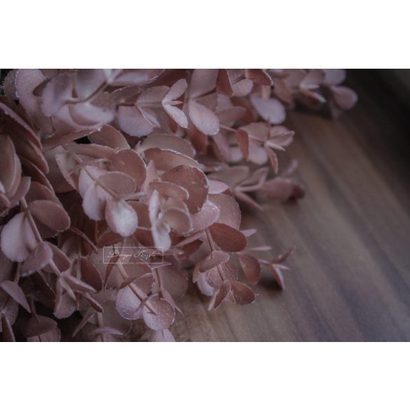 Eukaliptusz Púderrózsaszín - Szálas