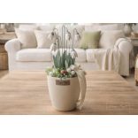 Hóvirágok - Asztaldísz2