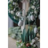 Hóvirágok - Asztaldísz2