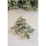 Hamvas Apró Levelek