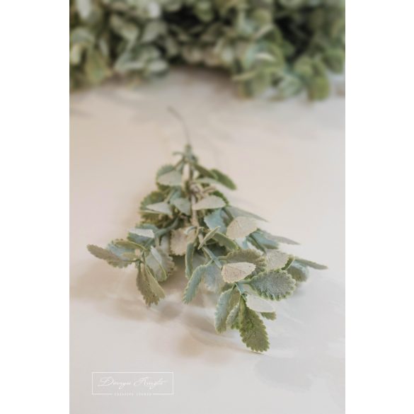 Hamvas Apró Levelek