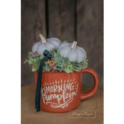 Morning Pumpkin