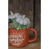 Morning Pumpkin
